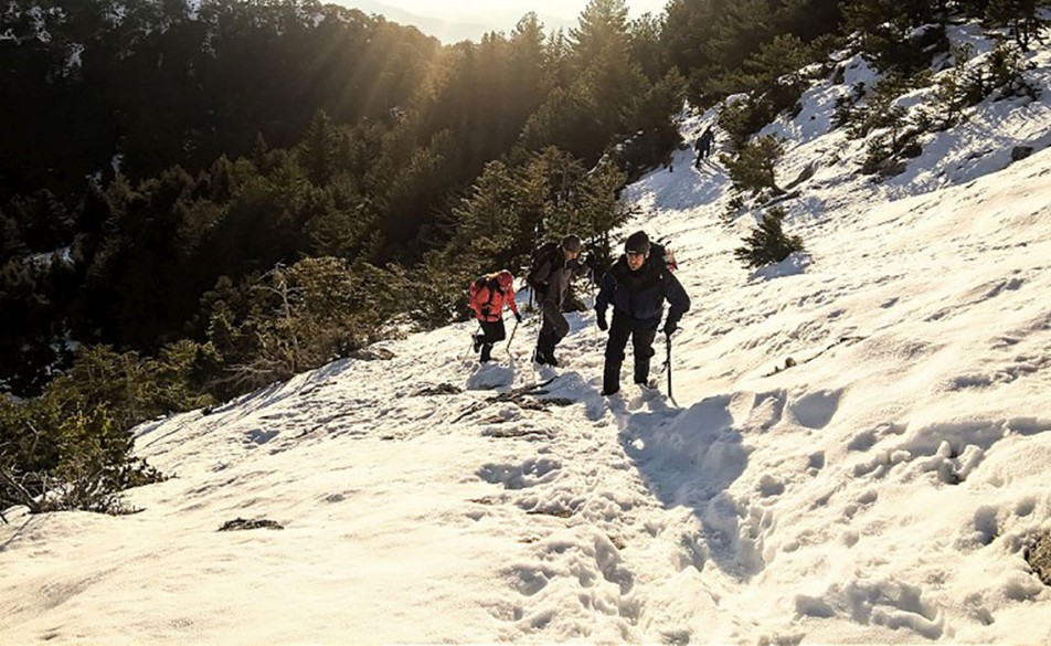 slider_image