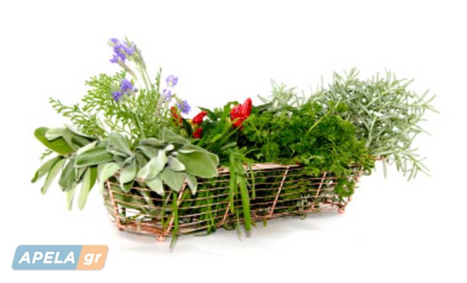 slider_image